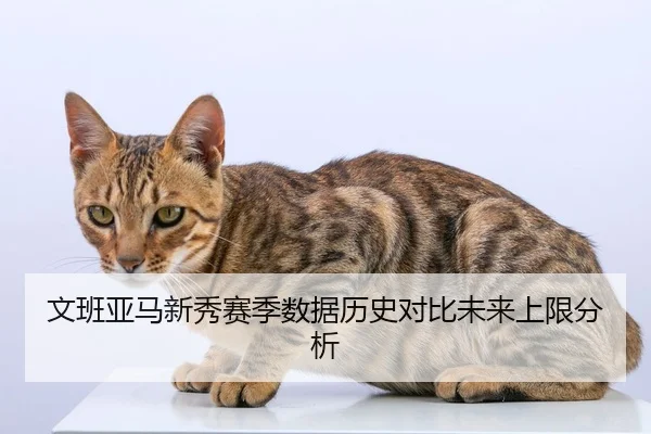 wen-ban-ya-ma-xin-xiu-sai-ji-shu-ju-li-shi-dui-bi-wei-lai-shang-xian-fen-xi-2-801.jpg