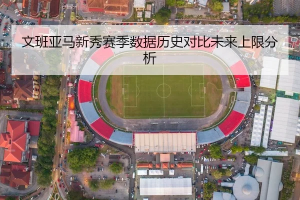 文班亚马新秀赛季数据历史对比未来上限分析