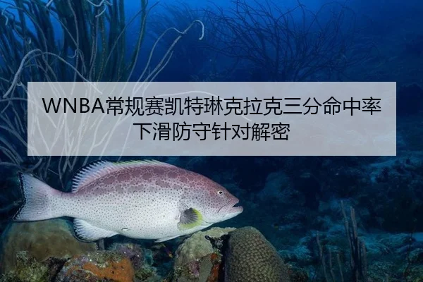 WNBA常规赛凯特琳克拉克三分命中率下滑防守针对解密